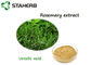 Antioxdentrosemary Leaf Extract Ursolic Acid Poeder voor Cusmetic-Product leverancier